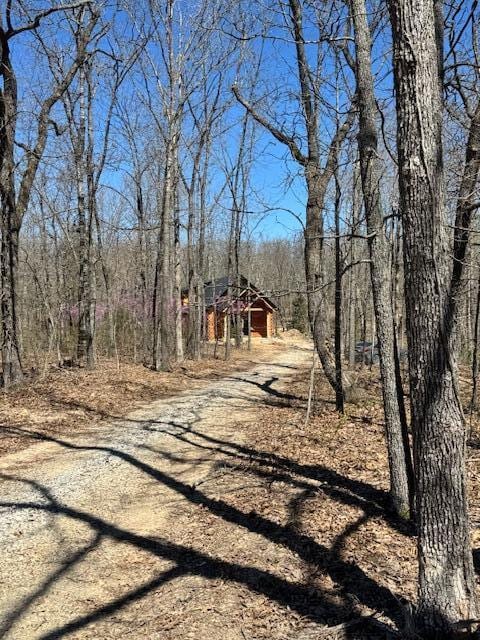 7105 County Road 8200, West Plains, MO 65775 - photo 4