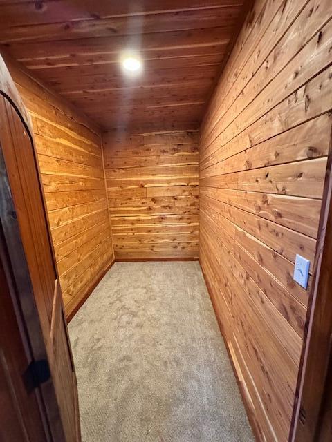 7105 County Road 8200, West Plains, MO 65775 - photo 32