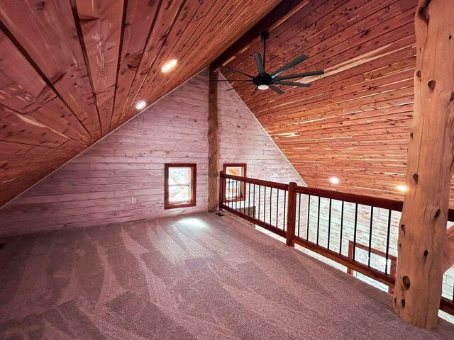 7105 County Road 8200, West Plains, MO 65775 - photo 18
