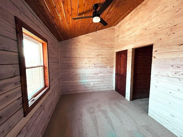7105 County Road 8200, West Plains, MO 65775 - photo 28