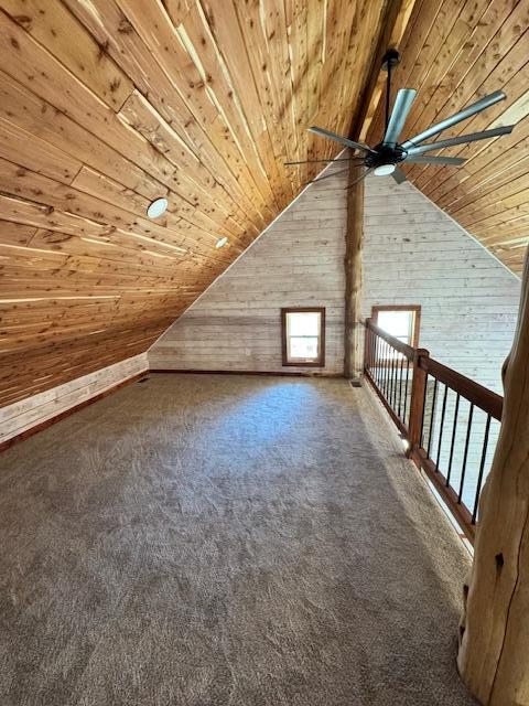 7105 County Road 8200, West Plains, MO 65775 - photo 22