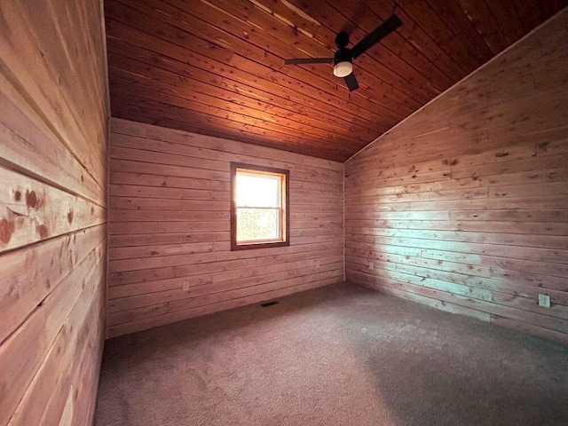 7105 County Road 8200, West Plains, MO 65775 - photo 25