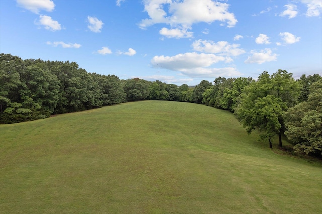 5651 State Highway 125 S, Sparta, MO 65753 - view of green lawn featuring golf course view and a wooded view
