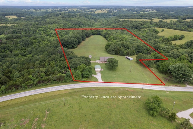 5651 State Highway 125 S, Sparta, MO 65753 - view of rural area with a forest and property boundaries highlighted