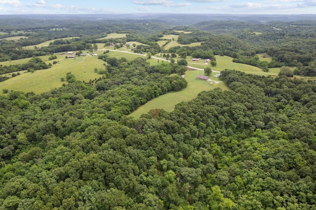 5651 State Highway 125 S, Sparta, MO 65753 - drone / aerial view of a forest