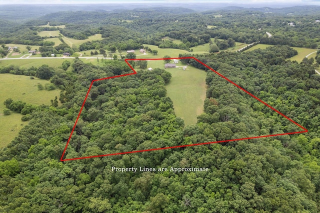 5651 State Highway 125 S, Sparta, MO 65753 - overview of rural landscape with a heavily wooded area and property boundaries highlighted