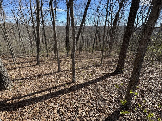 000 October Hill Ln, Branson West, MO 65737