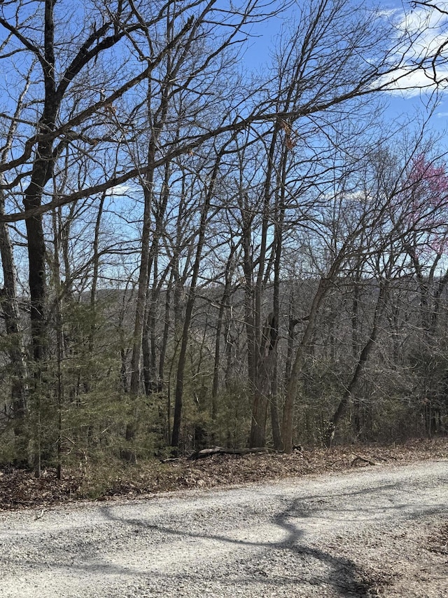 000 October Hill Ln, Branson West, MO 65737