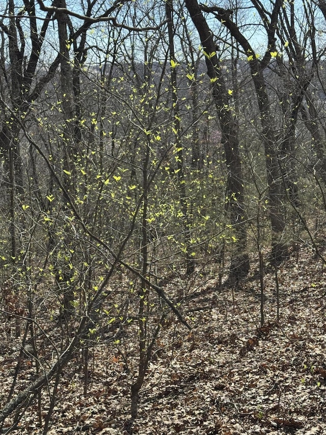 000 October Hill Ln, Branson West, MO 65737