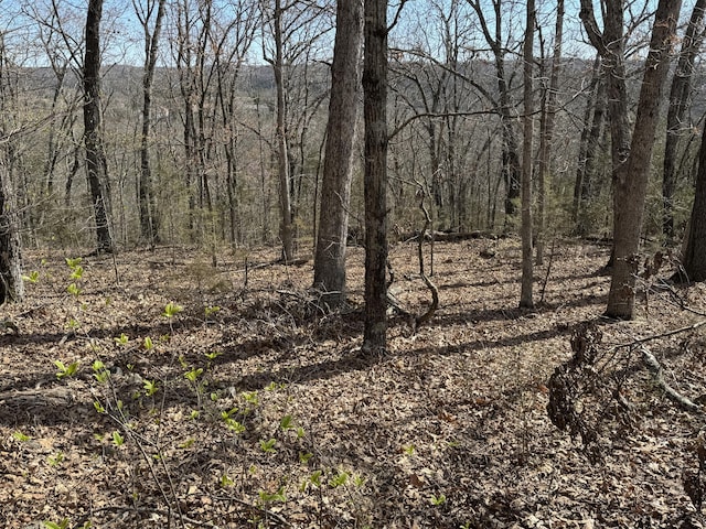 000 October Hill Ln, Branson West, MO 65737