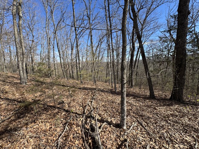000 October Hill Ln, Branson West, MO 65737