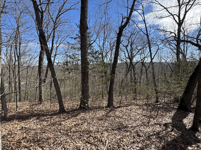 000 October Hill Ln, Branson West, MO 65737