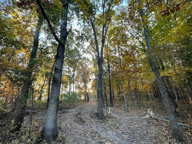 000 Cottengim Rd Unit 2, Norwood, MO 65717 - photo 19