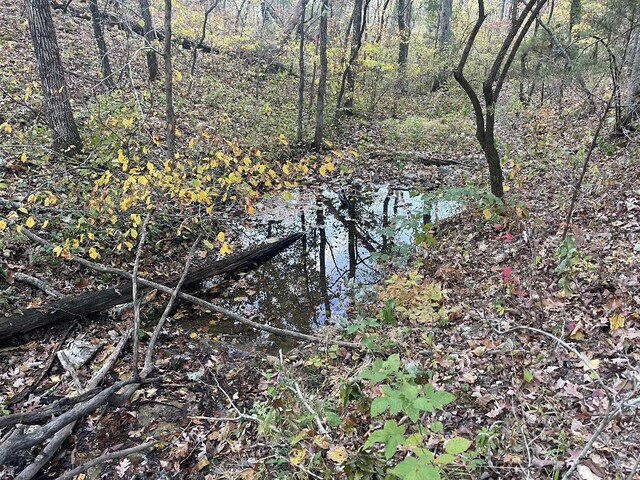 000 Cottengim Rd Unit 2, Norwood, MO 65717 - photo 15