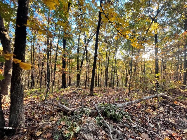 000 Cottengim Rd Unit 2, Norwood, MO 65717 - photo 22