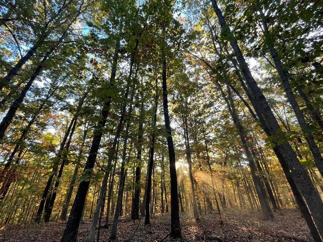 000 Cottengim Rd Unit 2, Norwood, MO 65717 - photo 17