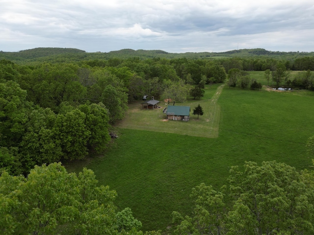 000 Cottengim Rd Unit 2, Norwood, MO 65717 - photo 1