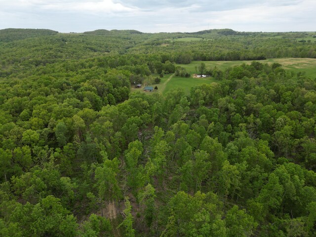 000 Cottengim Rd Unit 2, Norwood, MO 65717 - photo 25