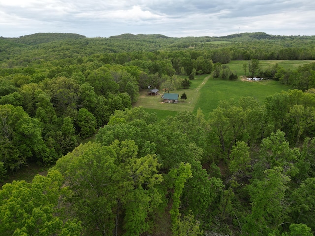 000 Cottengim Rd Unit 2, Norwood, MO 65717 - photo 2