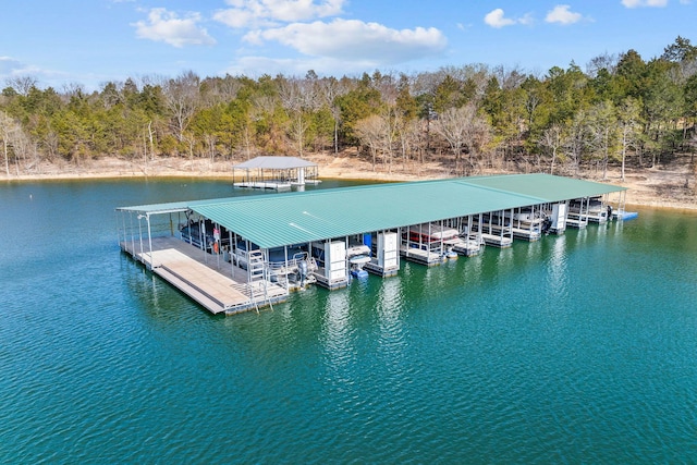 dock area with boat lift and a water view