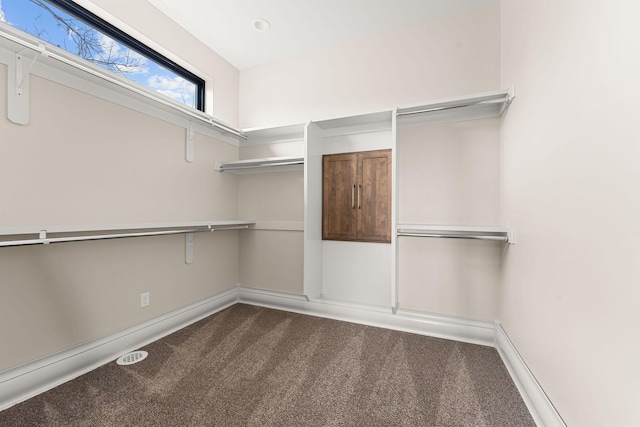 spacious closet featuring carpet floors