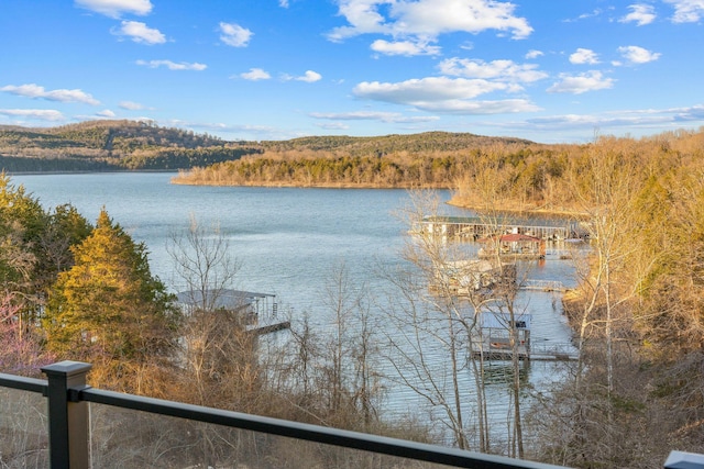 water view featuring a view of trees