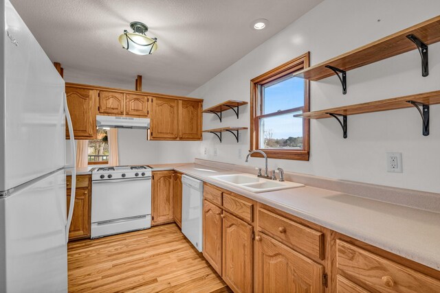 2505 Courtney Pl, West Plains, MO 65775 - kitchen with open shelves, white appliances, under cabinet range hood, a sink, and light wood-style floors