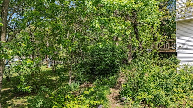 2505 Courtney Pl, West Plains, MO 65775 - view of undeveloped land