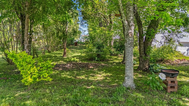 2505 Courtney Pl, West Plains, MO 65775 - view of nature