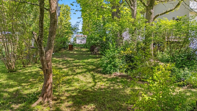 2505 Courtney Pl, West Plains, MO 65775 - view of green lawn