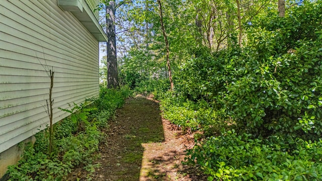 2505 Courtney Pl, West Plains, MO 65775 - view of yard