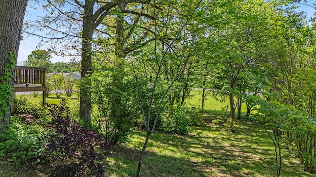 2505 Courtney Pl, West Plains, MO 65775 - view of grassy yard featuring a wooden deck