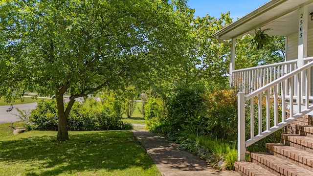 2505 Courtney Pl, West Plains, MO 65775 - view of grassy yard