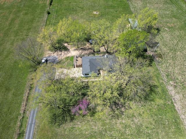 575 N Lemmon Ave, Bolivar, MO 65613 - photo 55