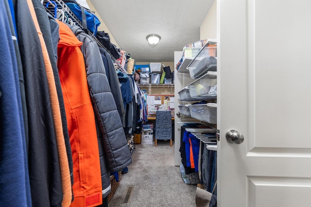 445 E Sequoia St, Republic, MO 65738 - spacious closet with carpet