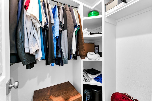 504 Brown St, Branson, MO 65616 - view of spacious closet
