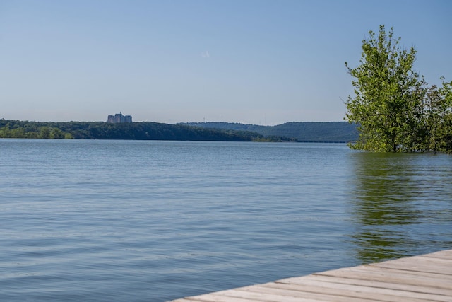 168 Jax Trl Unit 49, Indian Point, MO 65616 - photo 79