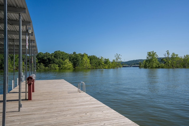168 Jax Trl Unit 49, Indian Point, MO 65616 - photo 83
