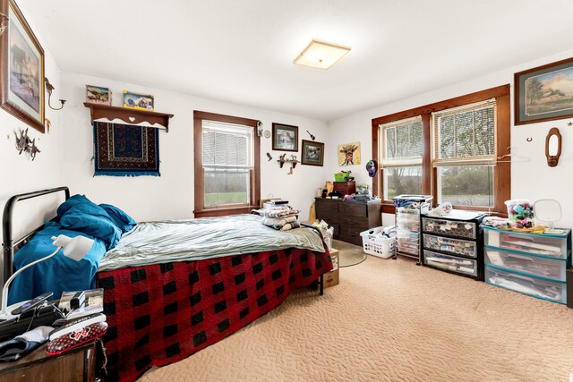 bedroom with multiple windows and carpet