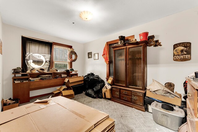 interior space with carpet flooring