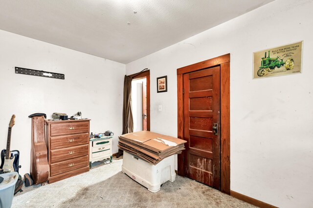 bedroom featuring light colored carpet