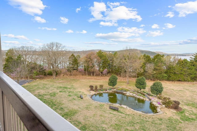 view of yard with a mountain view