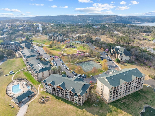 bird's eye view