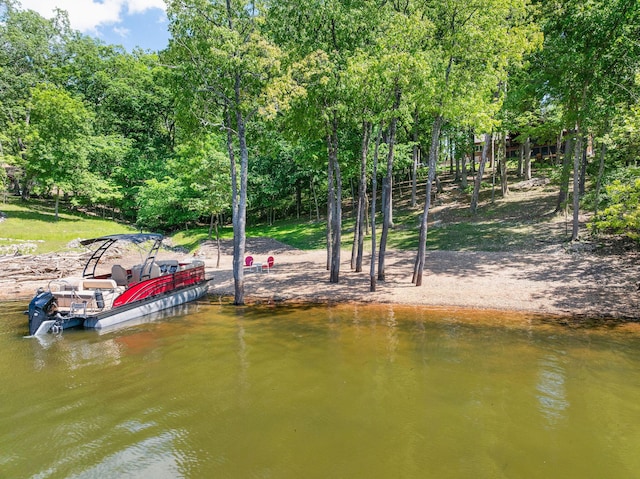 24347 Green Shores Dr, Shell Knob, MO 65747 - photo 10