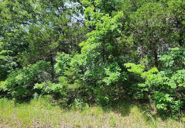 LOT3-5 Stone Rd, Merriam Woods, MO 65740