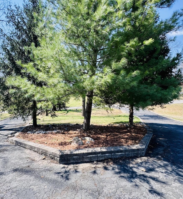 view of road featuring curbs