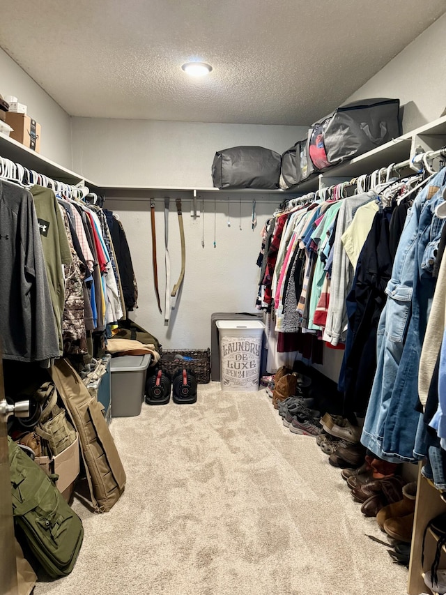 walk in closet featuring carpet flooring