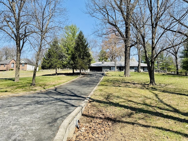 view of road with curbs