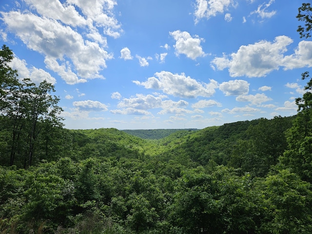 2489 Logan Ridge Rd, Ozark, MO 65721 - view of mountain background featuring a heavily wooded area