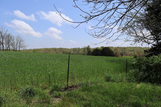 3987 County Road 2350, Pomona, MO 65789 - view of yard with a view of rural / pastoral area and a forest view